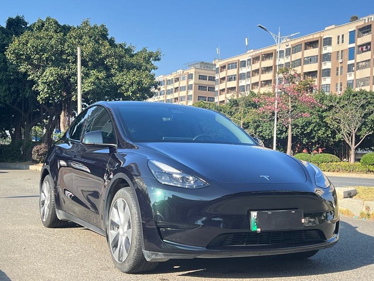 特斯拉 Model 3  2022款 后輪驅動版圖片