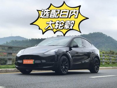 2021年8月 特斯拉 Model Y 改款 長續(xù)航全輪驅(qū)動版圖片