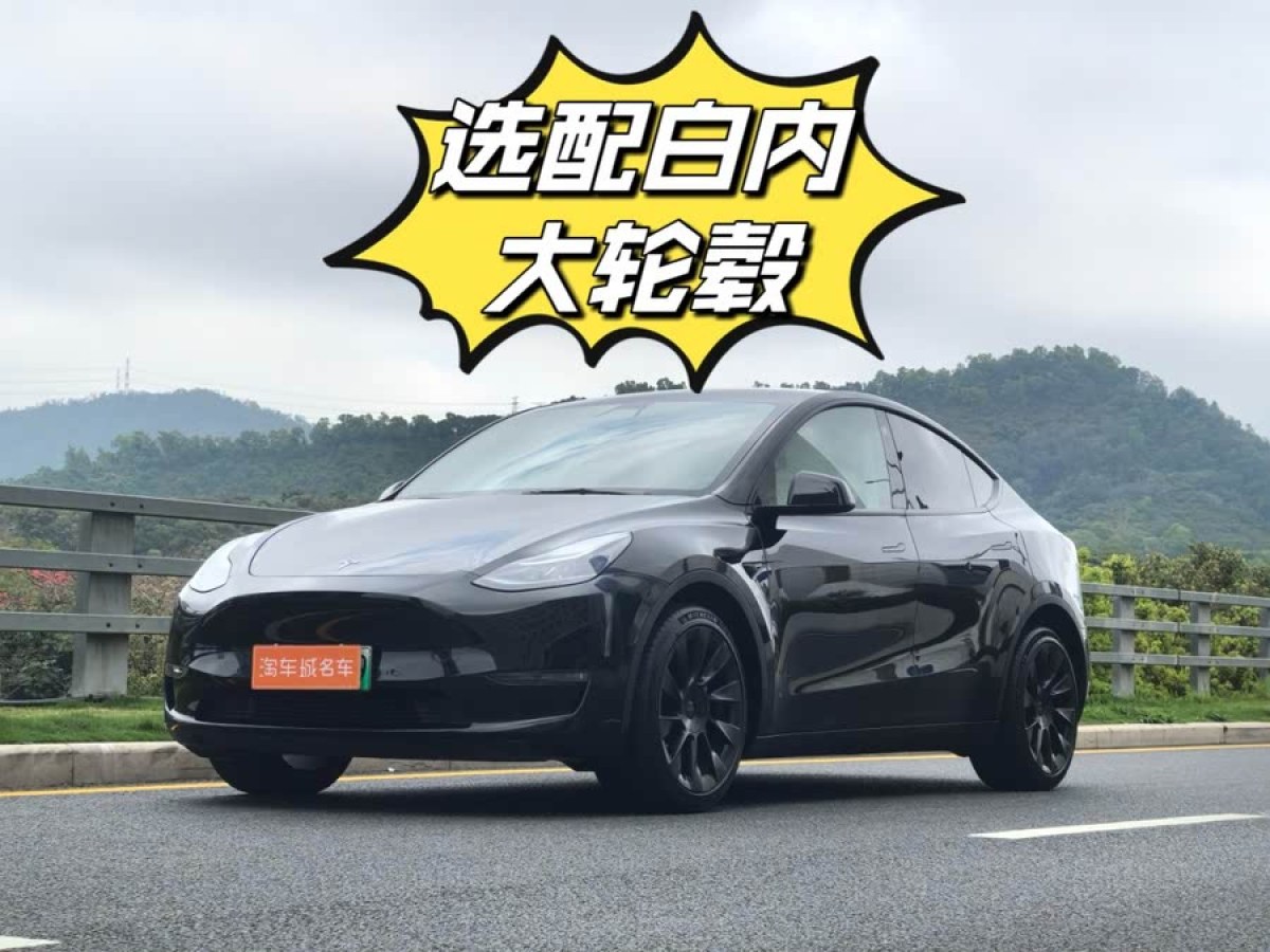 2021年8月特斯拉 Model Y  2021款 改款 長(zhǎng)續(xù)航全輪驅(qū)動(dòng)版