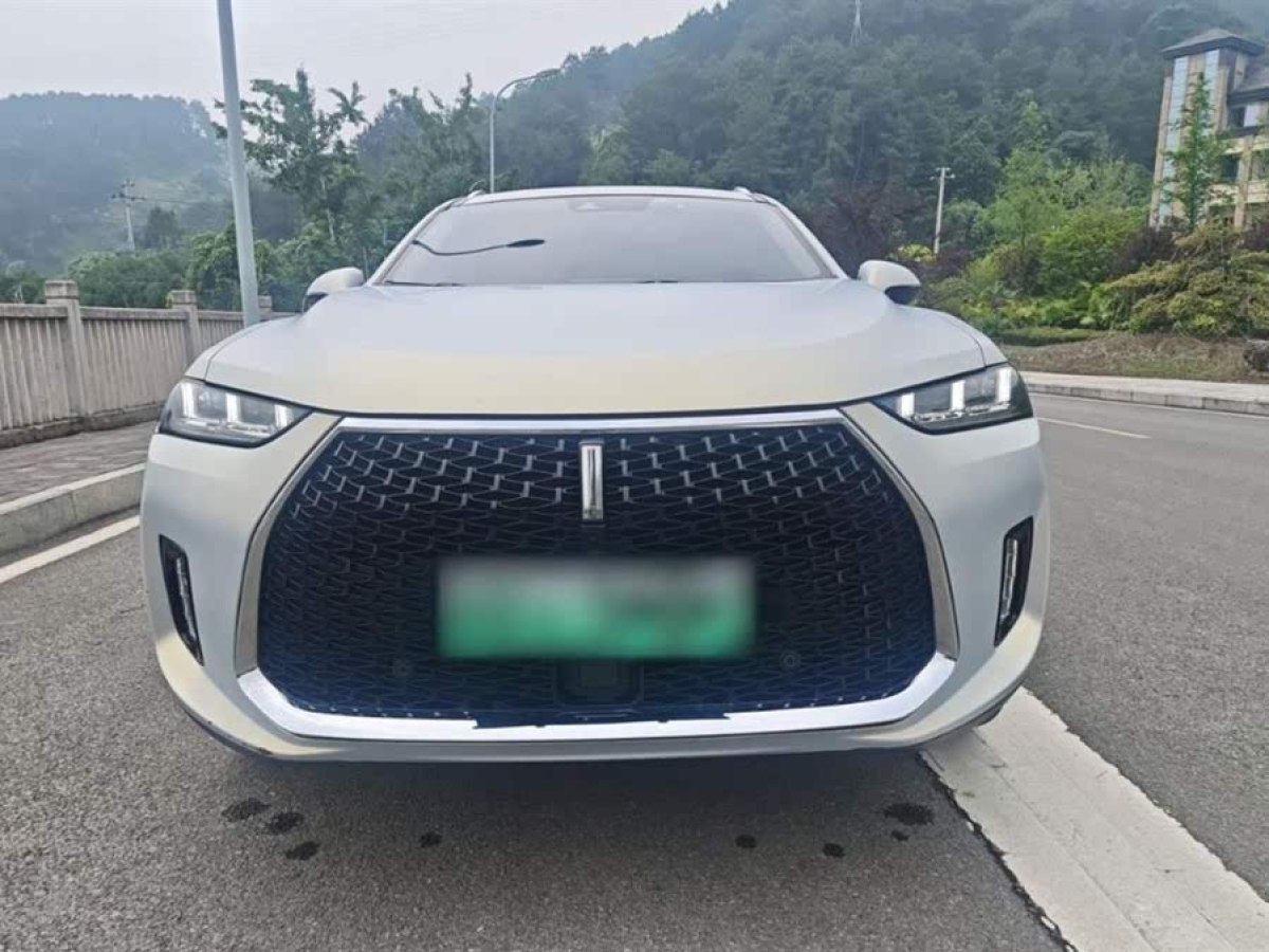 WEY P8  2018款 2.0T 旗艦型圖片