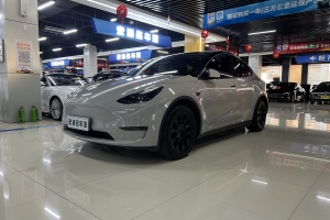 Model 3 特斯拉 改款 標(biāo)準(zhǔn)續(xù)航后驅(qū)升級(jí)版