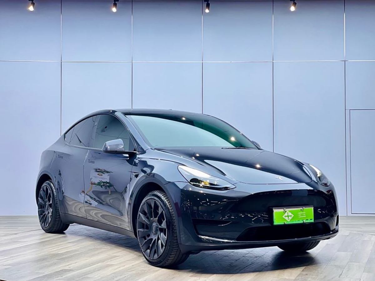 特斯拉 Model 3  2020款 改款 長續(xù)航后輪驅(qū)動版圖片