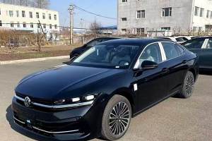 邁騰 大眾 380TSI DSG尊貴版