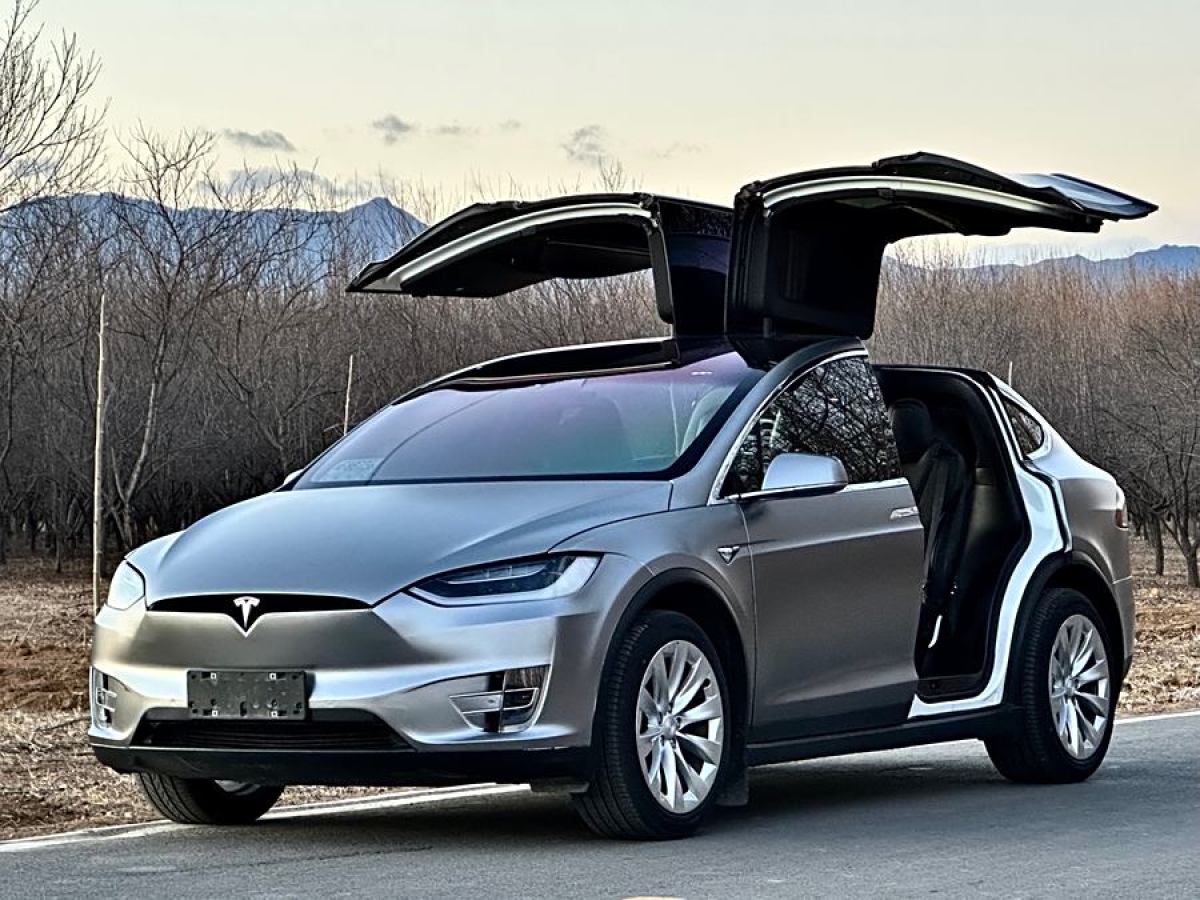 特斯拉 Model X  2016款 Model X 90D圖片