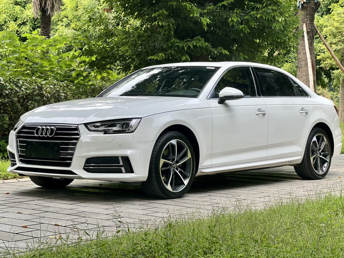 奥迪 奥迪A4L  2019款 40 TFSI 进取型 国V图片