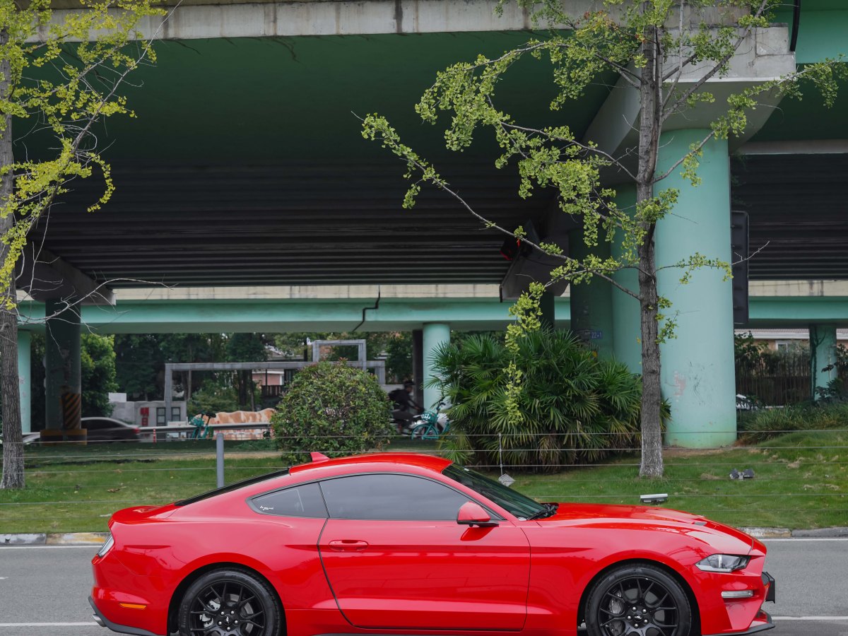 福特 Mustang  2021款 2.3L EcoBoost圖片