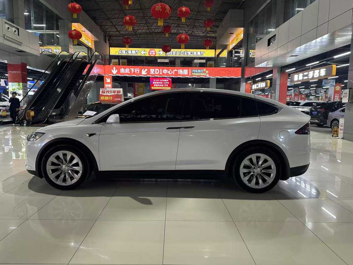 特斯拉 Model X  2019款 長續(xù)航版圖片