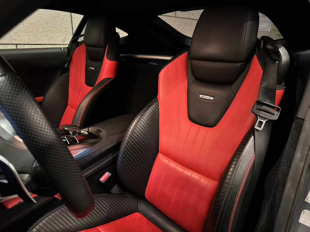 奔馳 奔馳AMG GT  2019款 AMG GT圖片