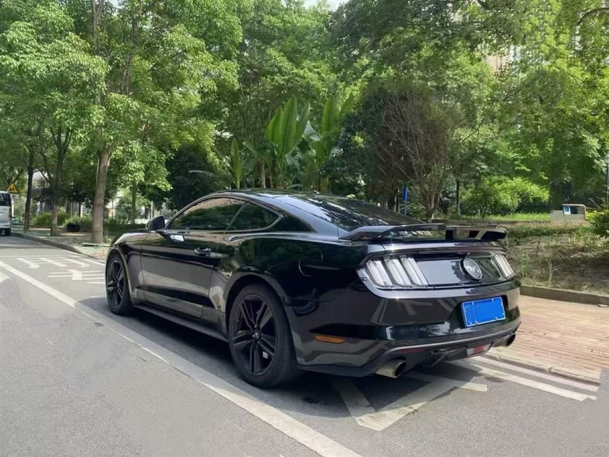 福特 Mustang  2015款 2.3T 性能版圖片