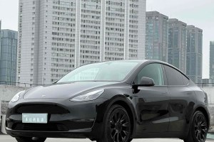 Model Y 特斯拉 改款 后輪驅(qū)動版