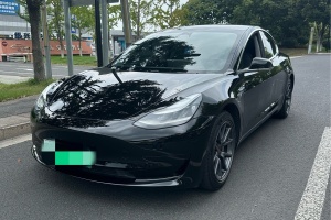 Model 3 特斯拉 标准续航后驱升级版