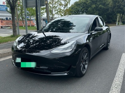 2020年10月 特斯拉 Model 3 標(biāo)準(zhǔn)續(xù)航后驅(qū)升級(jí)版圖片