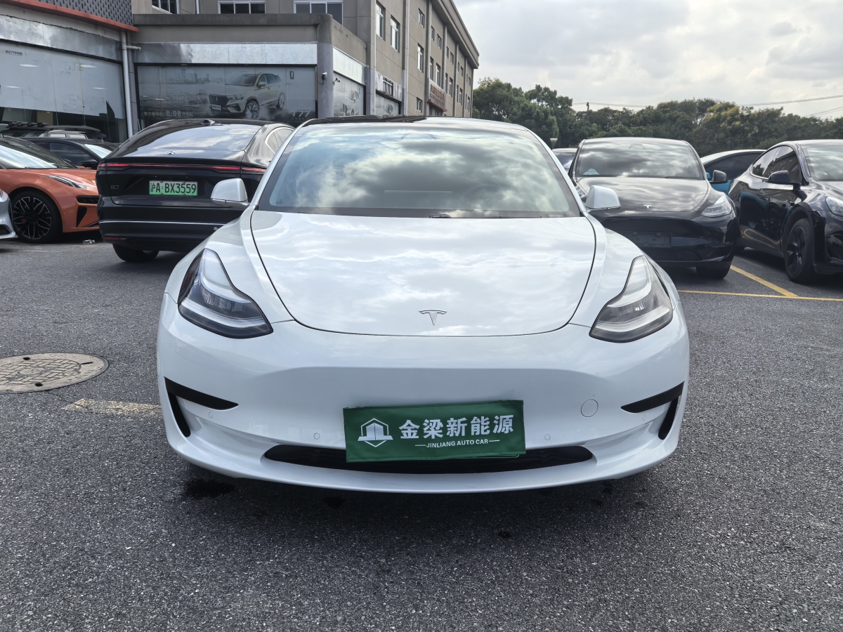 2020年4月特斯拉 Model 3  2019款 標(biāo)準(zhǔn)續(xù)航后驅(qū)升級版