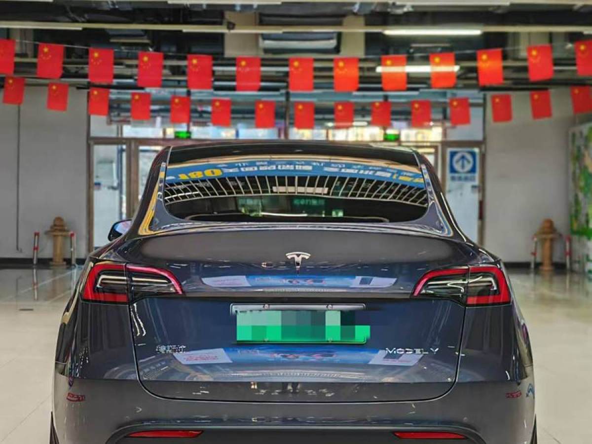 特斯拉 Model Y  2022款 改款 長續(xù)航全輪驅(qū)動(dòng)版圖片