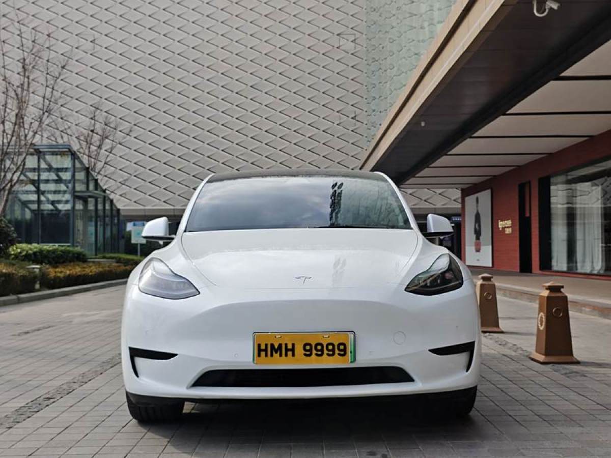 特斯拉 Model 3  2020款 改款 長續(xù)航后輪驅動版圖片