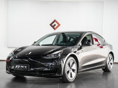 特斯拉 Model 3 后輪驅(qū)動版圖片