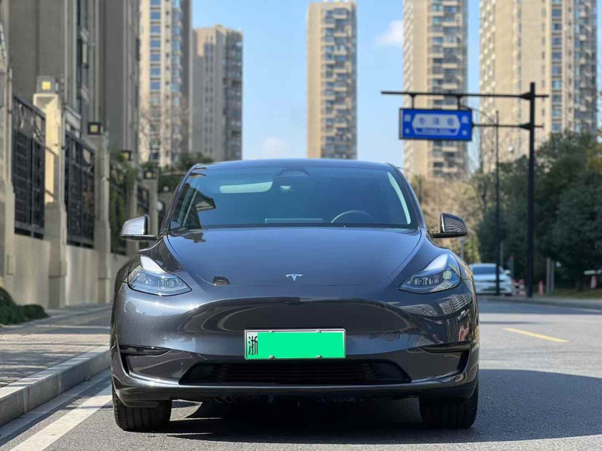 特斯拉 Model Y  2024款 Performance高性能版圖片