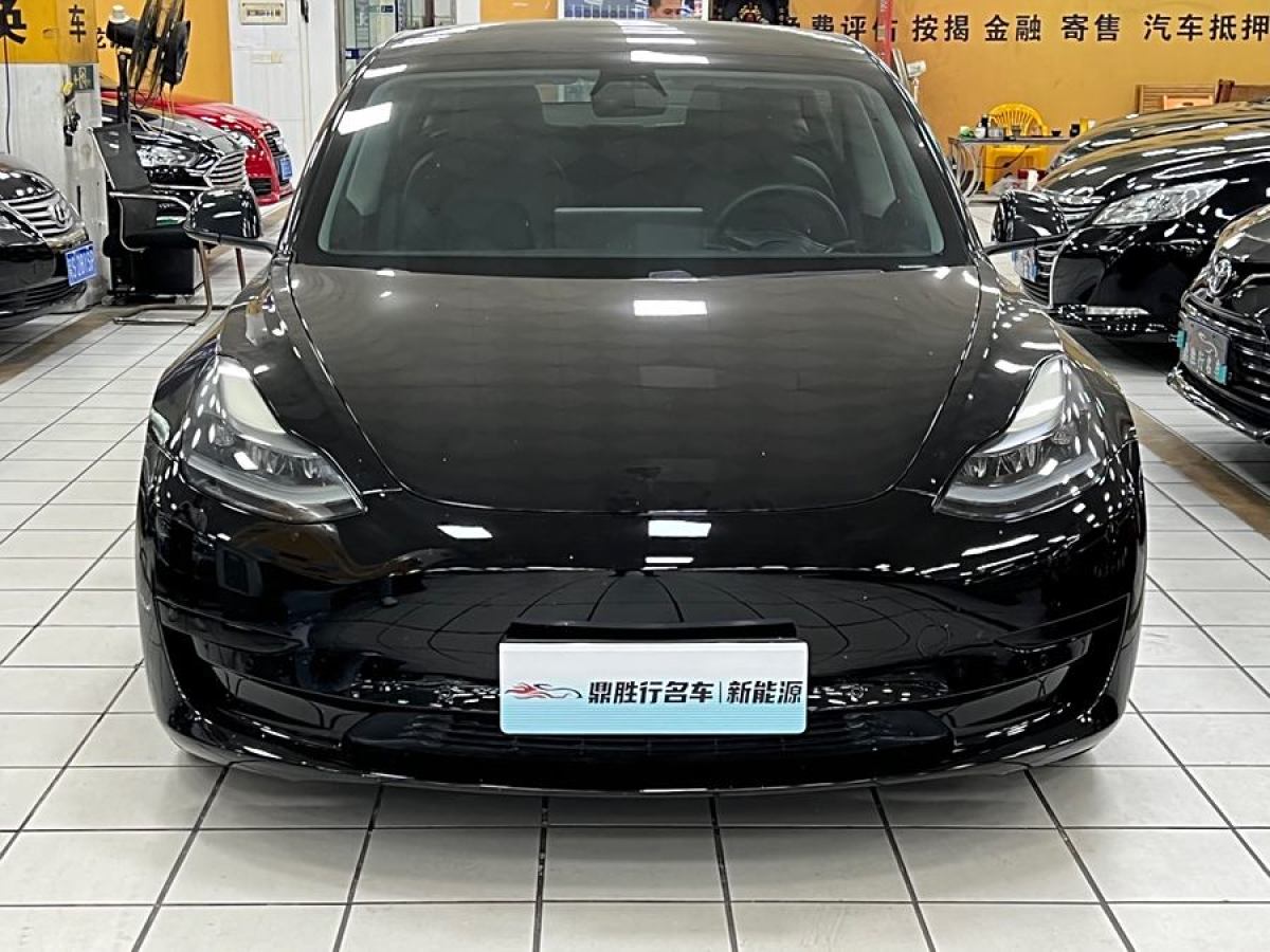 特斯拉 Model 3  2021款 改款 標(biāo)準(zhǔn)續(xù)航后驅(qū)升級(jí)版圖片