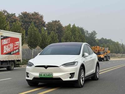 2019年7月 特斯拉 Model X Model X P100D Performance高性能版圖片