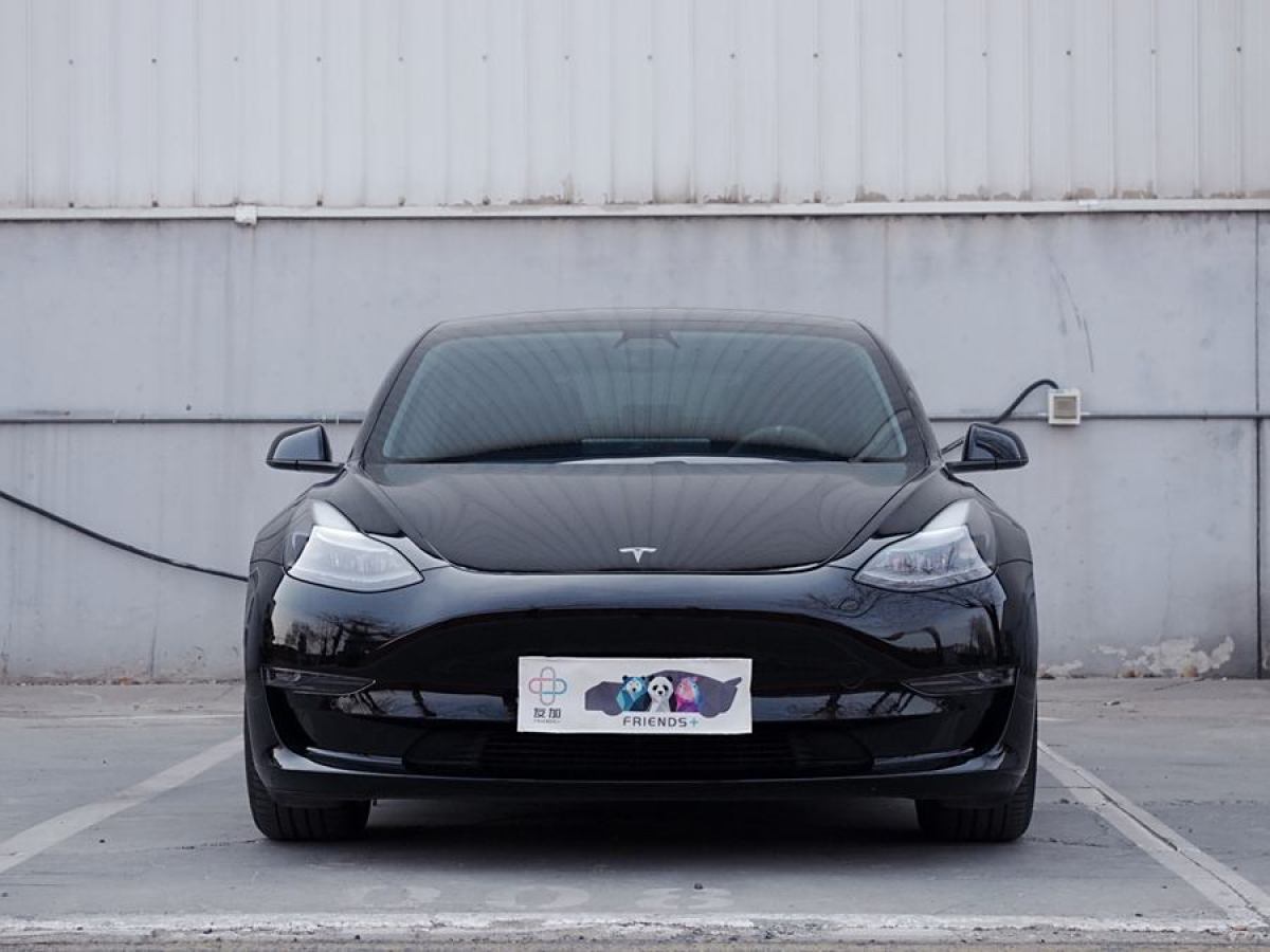 特斯拉 Model Y  2021款 Performance高性能全輪驅(qū)動版圖片