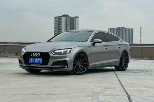 奧迪RS 5 奧迪 RS 5 2.9T Sportback