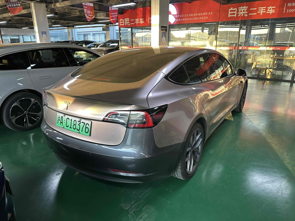 特斯拉 Model 3  2019款 Performance高性能全輪驅(qū)動(dòng)版圖片