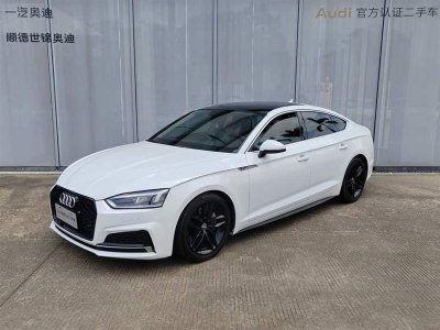 2018年1月 奧迪 奧迪A5(進(jìn)口) Sportback 45 TFSI 時(shí)尚型圖片
