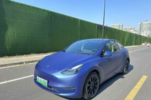 Model 3 特斯拉 Performance高性能全輪驅(qū)動版