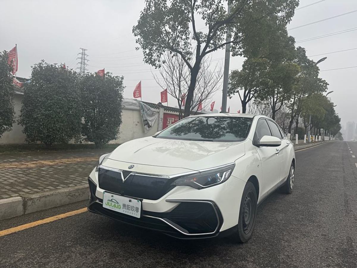 啟辰 D60EV  2020款 標(biāo)準(zhǔn)續(xù)航智行版圖片