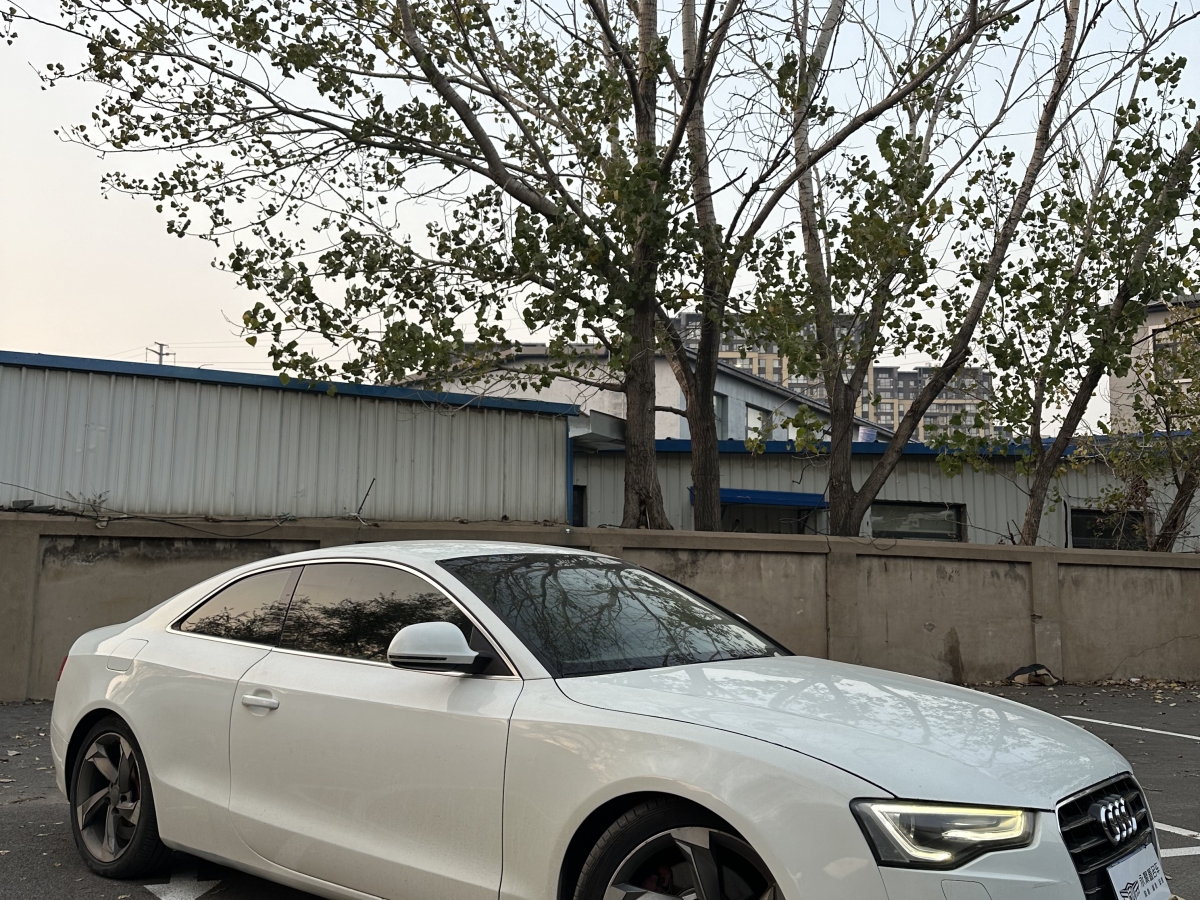 奥迪 奥迪A5  2008款 3.2 coupe quattro图片