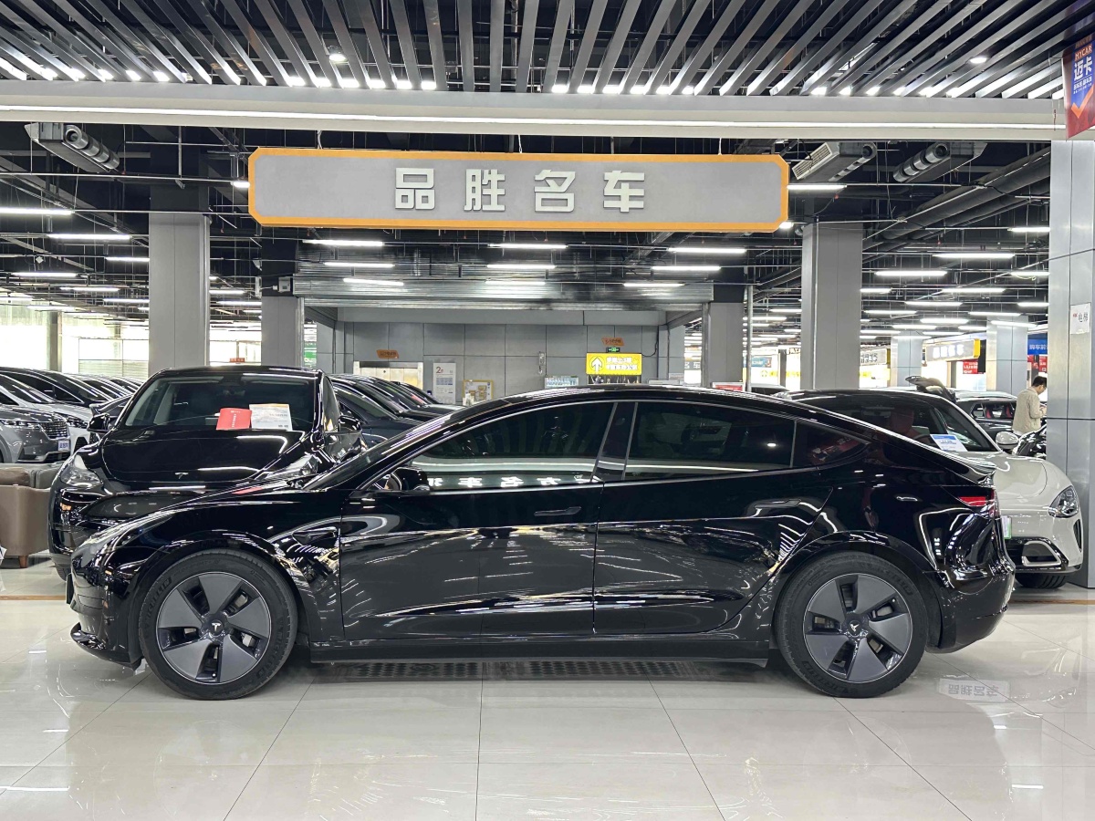 特斯拉 Model 3  2019款 標(biāo)準(zhǔn)續(xù)航后驅(qū)升級版圖片