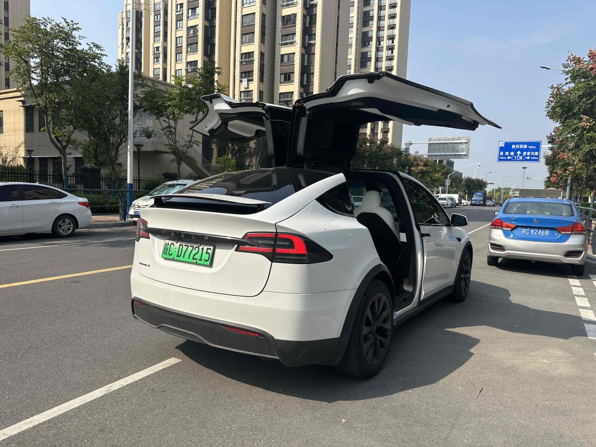 特斯拉 Model X  2023款 雙電機(jī)全輪驅(qū)動版圖片