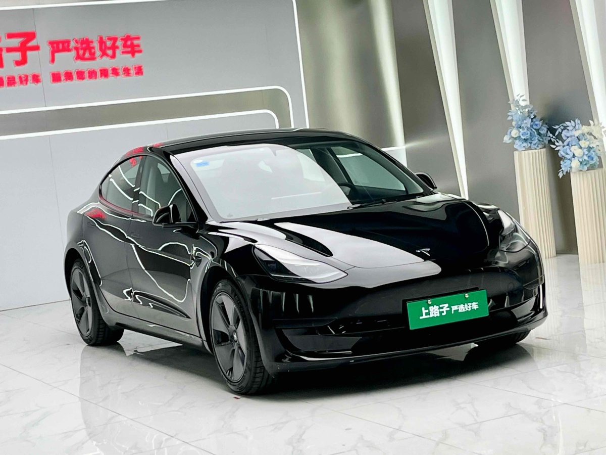 特斯拉 Model 3  2021款 標(biāo)準(zhǔn)續(xù)航后驅(qū)升級版 3D6圖片