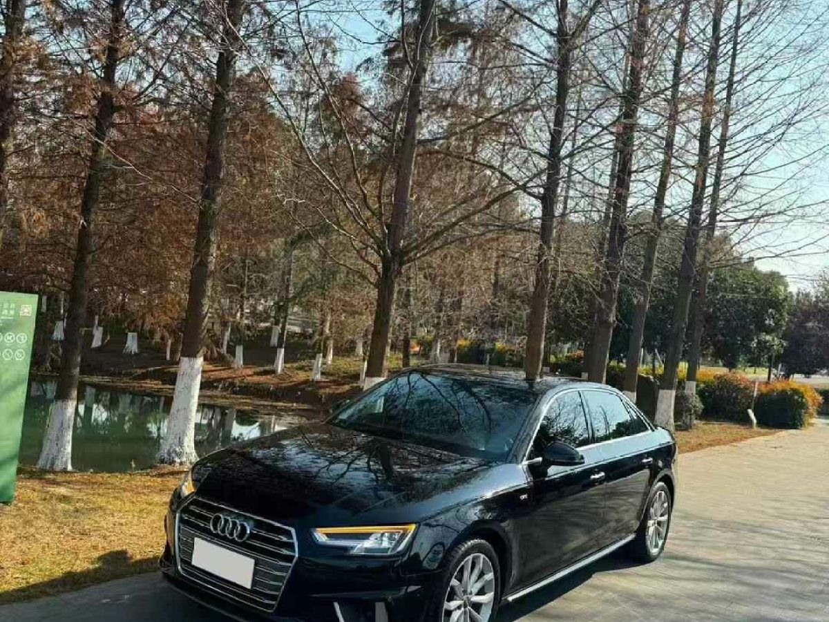 奧迪 奧迪A4L  2019款 35 TFSI 進(jìn)取型 國(guó)V圖片