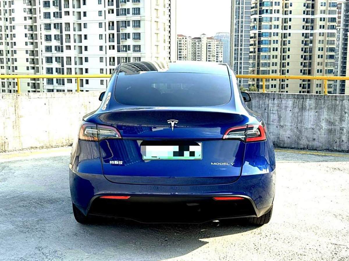 特斯拉 Model Y  2021款 改款 長(zhǎng)續(xù)航全輪驅(qū)動(dòng)版圖片