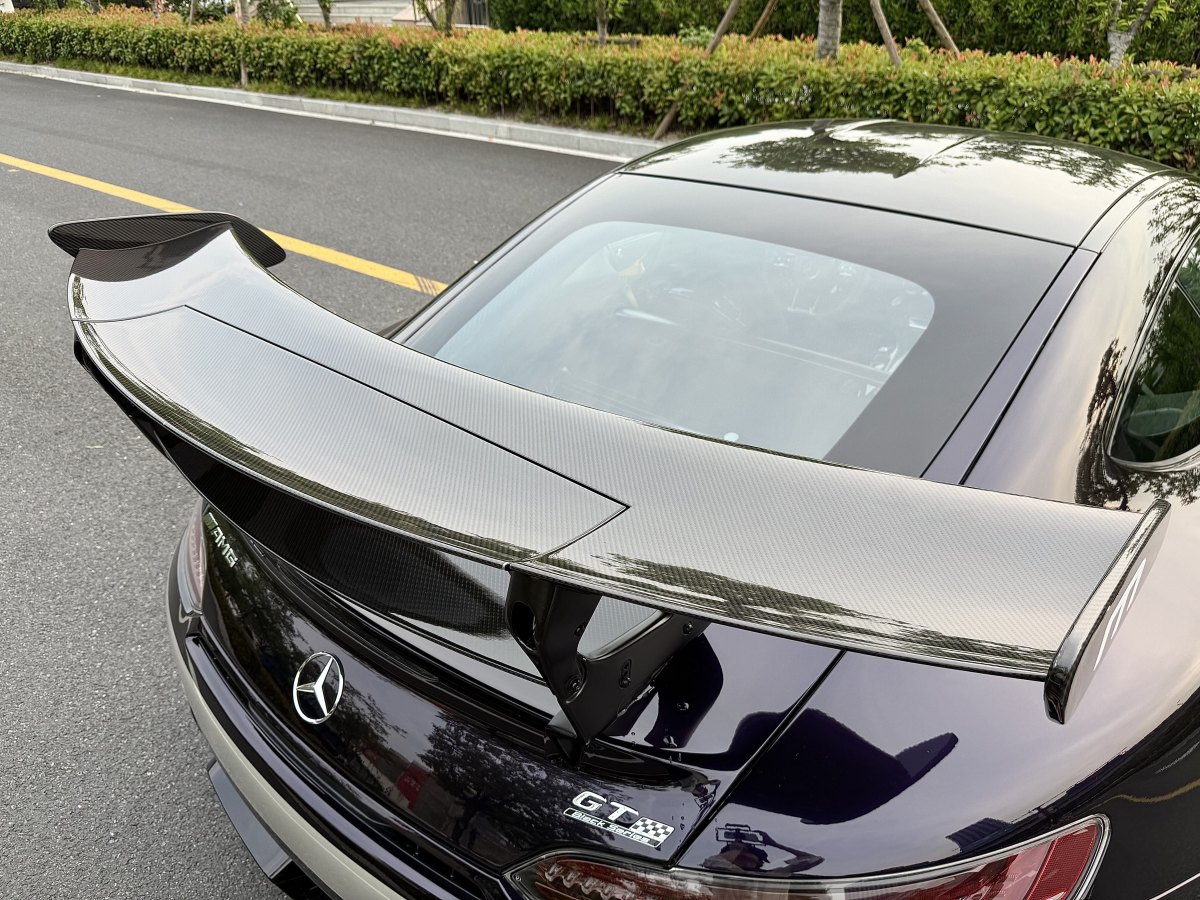 奔馳 奔馳AMG GT  2019款 AMG GT R圖片