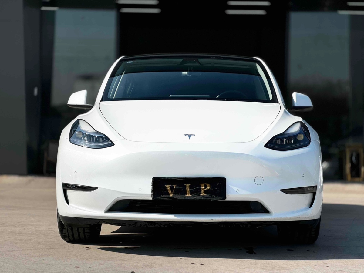 特斯拉 Model Y  2024款 后輪驅(qū)動版圖片