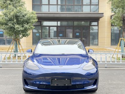 2020年4月 特斯拉 Model 3 標(biāo)準(zhǔn)續(xù)航后驅(qū)升級(jí)版圖片