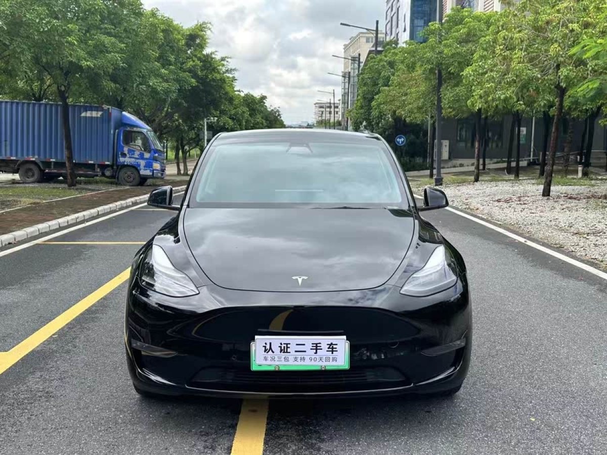 特斯拉 Model Y  2021款 標(biāo)準(zhǔn)續(xù)航后驅(qū)版圖片