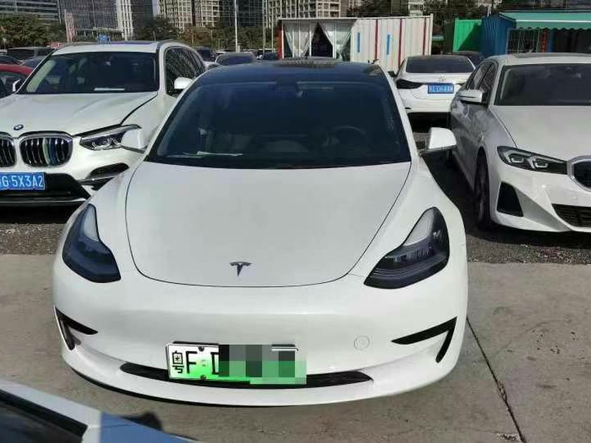 特斯拉 Model X  2020款 Performance 高性能版圖片