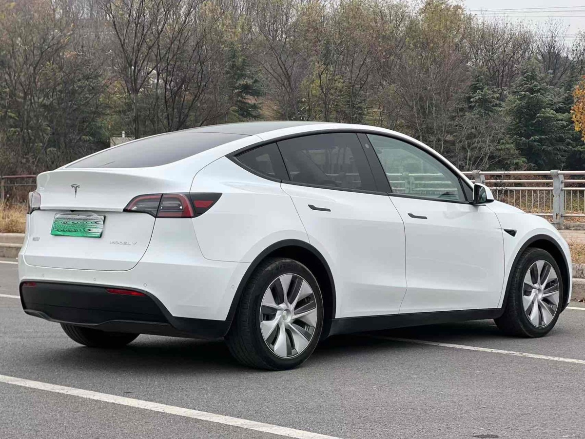 特斯拉 Model 3  2022款 后輪驅(qū)動(dòng)版圖片