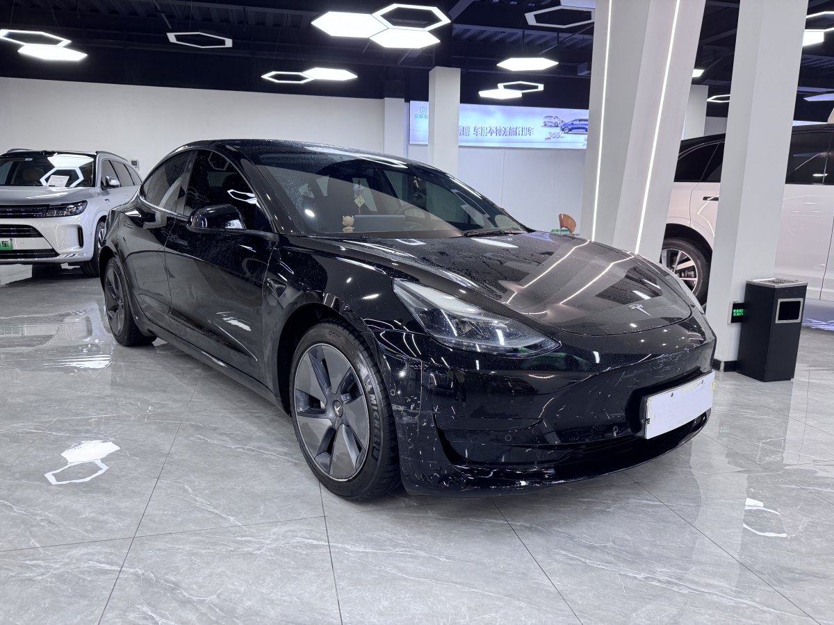 特斯拉 Model 3  2019款 標準續(xù)航后驅(qū)升級版圖片