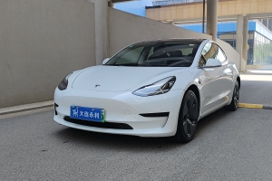 Model 3 特斯拉 改款 標(biāo)準(zhǔn)續(xù)航后驅(qū)升級(jí)版