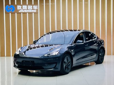 2020年12月 特斯拉 Model 3 改款 標(biāo)準(zhǔn)續(xù)航后驅(qū)升級(jí)版圖片