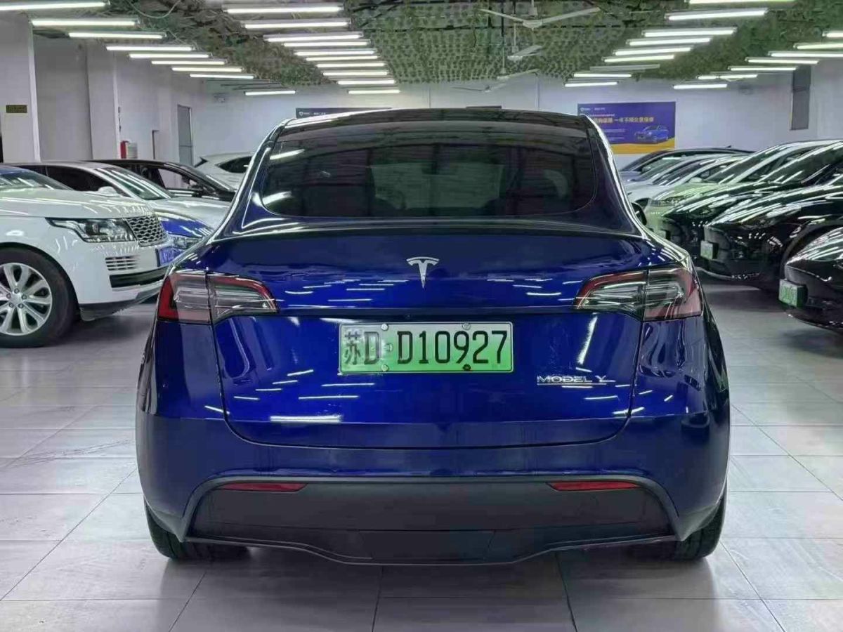 特斯拉 Model 3  2022款 Performance高性能全輪驅(qū)動(dòng)版圖片