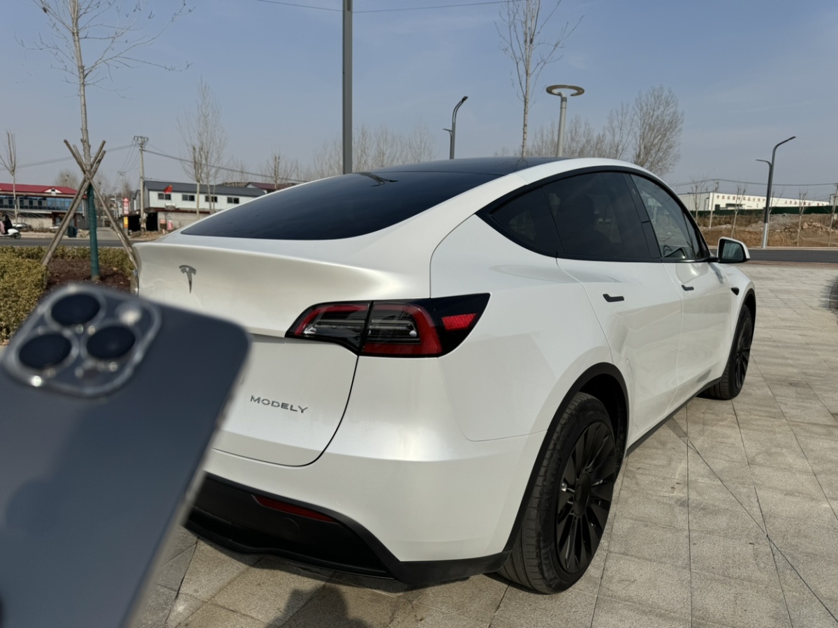 特斯拉 Model Y  2022款 后驅(qū)版圖片