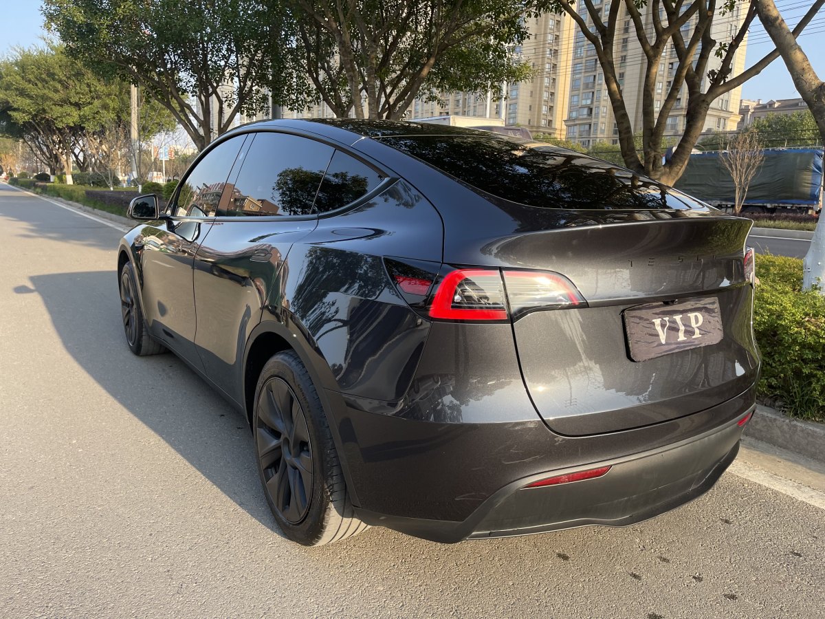 特斯拉 Model 3  2020款 改款 長(zhǎng)續(xù)航后輪驅(qū)動(dòng)版圖片