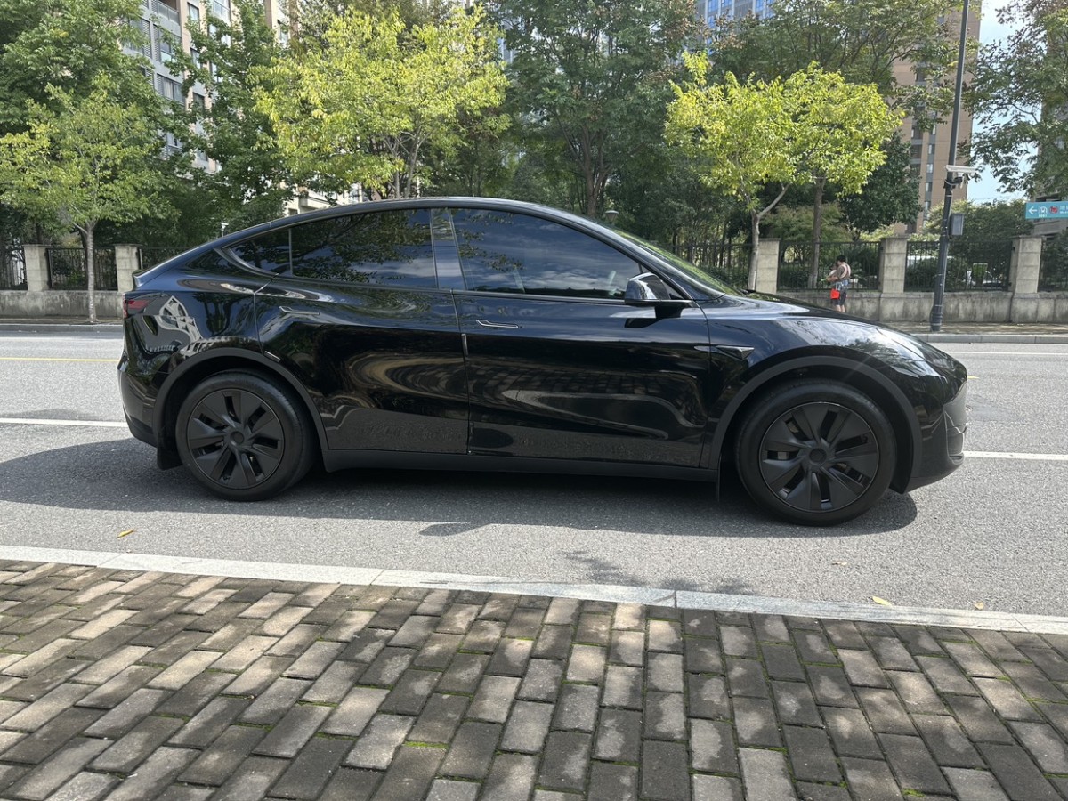 特斯拉 Model Y  2022款 后輪驅(qū)動(dòng)版圖片