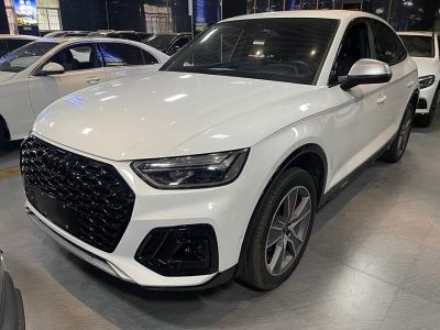 2023年3月 奧迪 奧迪Q5L Sportback 40 TFSI 冰雪運(yùn)動版圖片