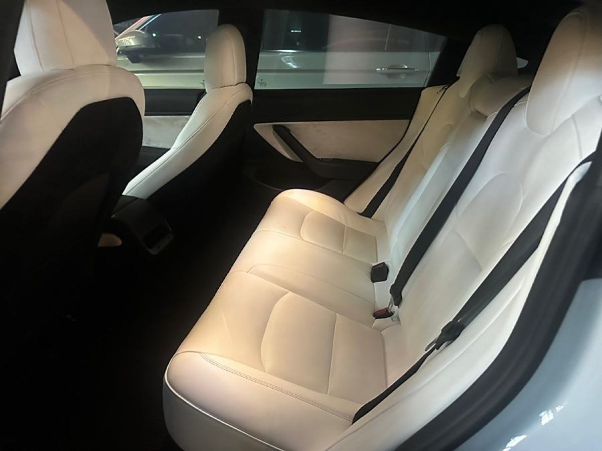 特斯拉 Model 3  2019款 Performance高性能全輪驅(qū)動(dòng)版圖片